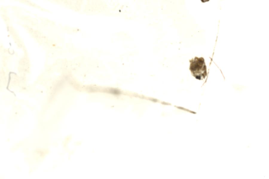 Image 90